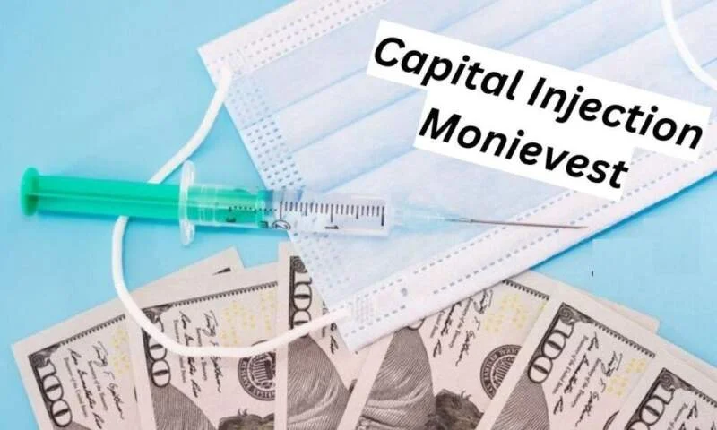 Capital Injection Monievest: How It Helps Startups Grow in 2024 ?